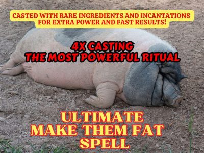 Make Them Fat Karmic Spell x4 Potency