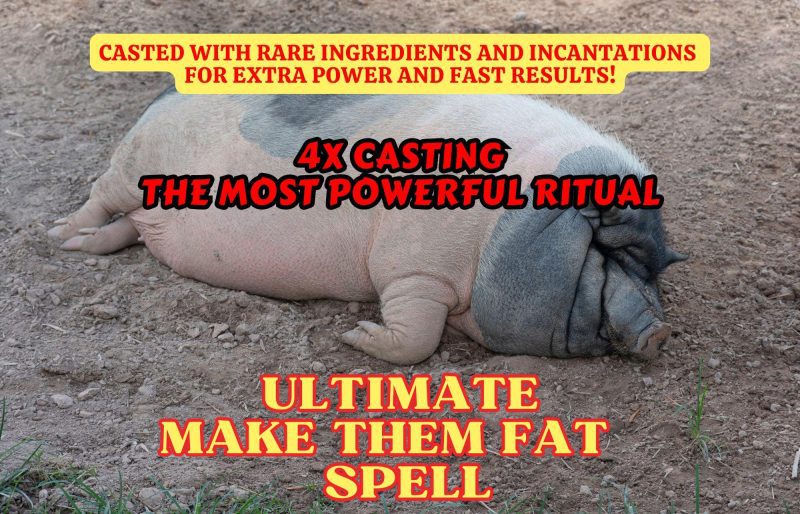Make Them Fat Revenge Spell x4 Potency