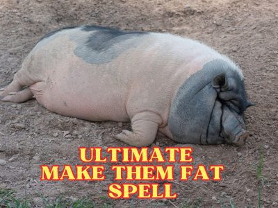 Make Them Fat And Ugly – Revenge Spell