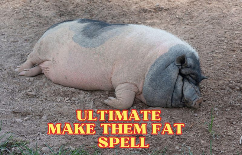 Make Them Fat And Ugly – Revenge Spell